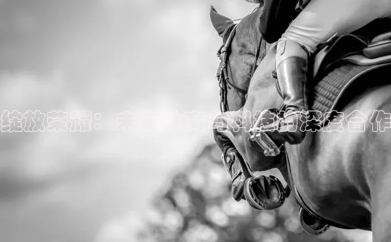 天辰注册平台元隆雅图绽放荣耀：未来体育与科技的深度合作