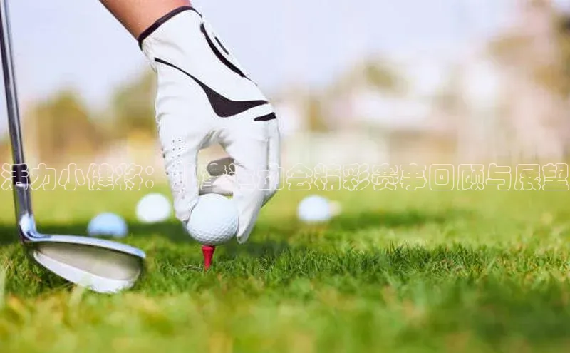 天辰登录连接福石控股活力小健将：儿童运动会精彩赛事回顾与展望