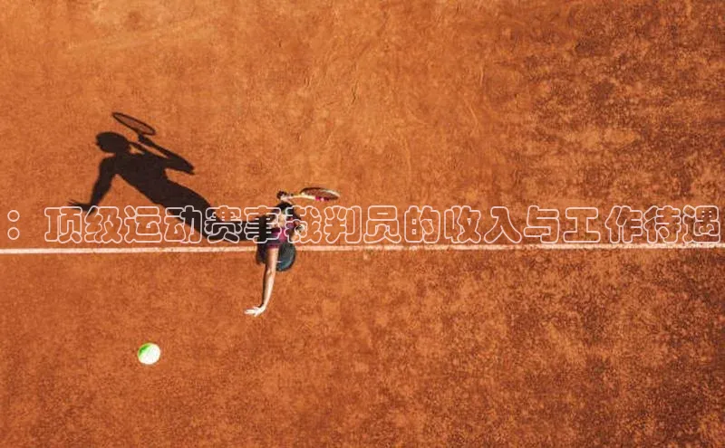 ：顶级运动赛事裁判员的收入与工作待遇