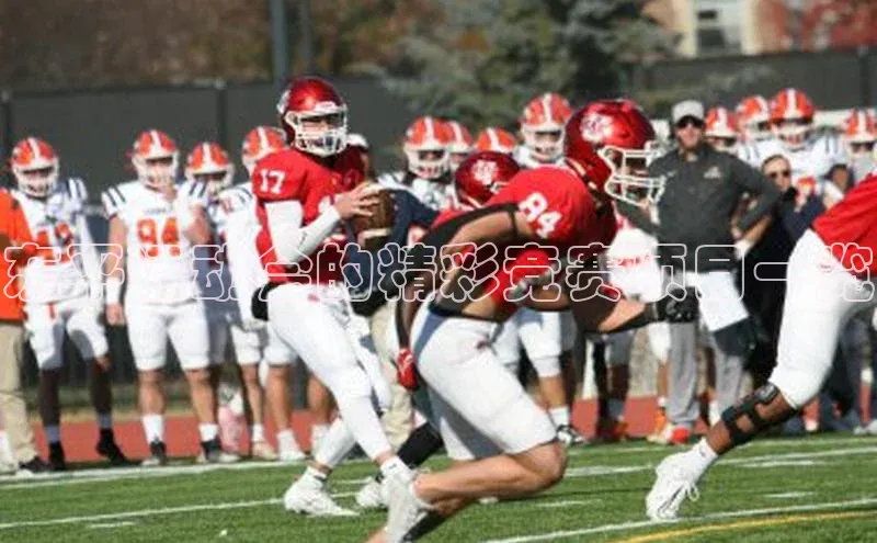 东平运动会的精彩竞赛项目一览