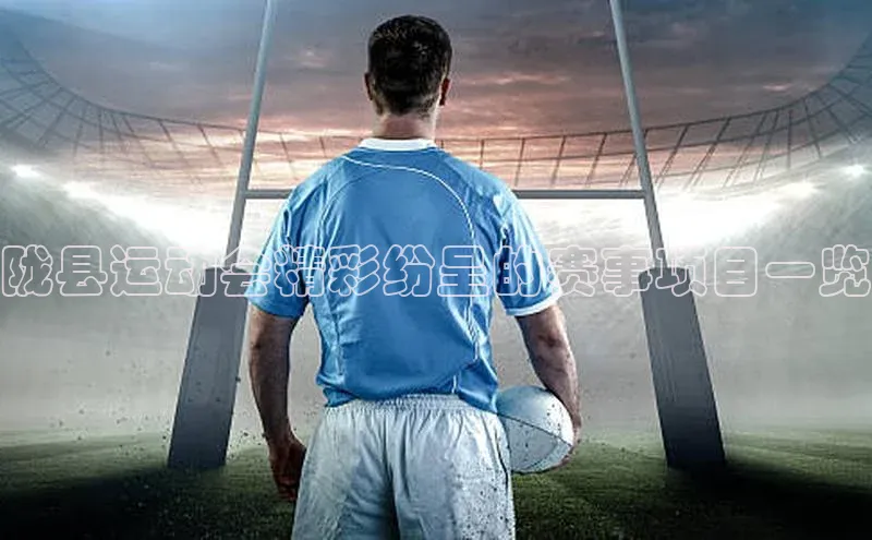 陇县运动会精彩纷呈的赛事项目一览