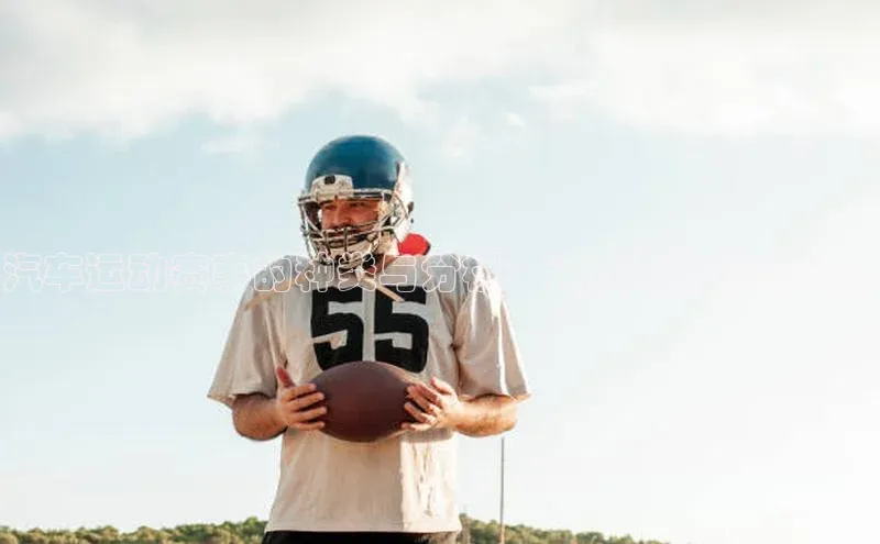 汽车运动赛事的种类与分析：速度与激情的边界