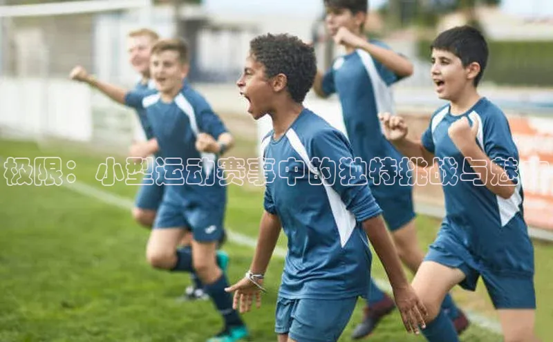 极限：小型运动赛事中的独特挑战与魅力