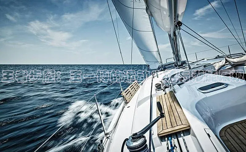 王者步履：王一博的运动生活与潜能展现