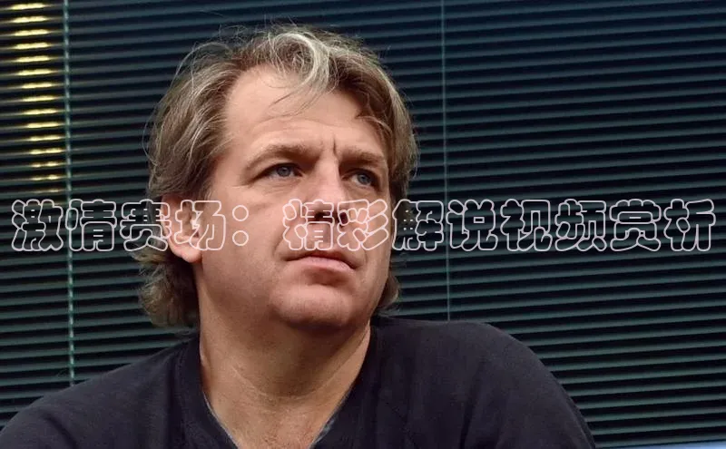 激情赛场：精彩解说视频赏析