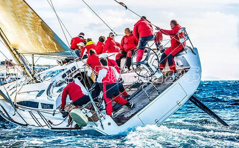 成都活力：最新体育盛事一览