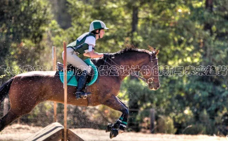 飞跃盛宴：运动赛事餐盒设计的创新与未来趋势