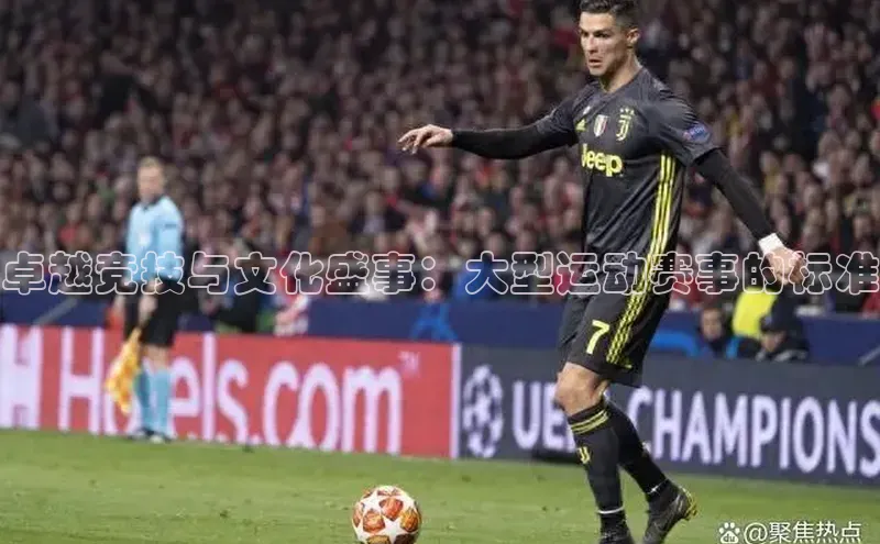 卓越竞技与文化盛事：大型运动赛事的标准