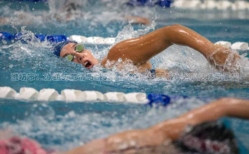 潍坊市：泳动的激情与挑战——2023年度游泳赛事总结与展望