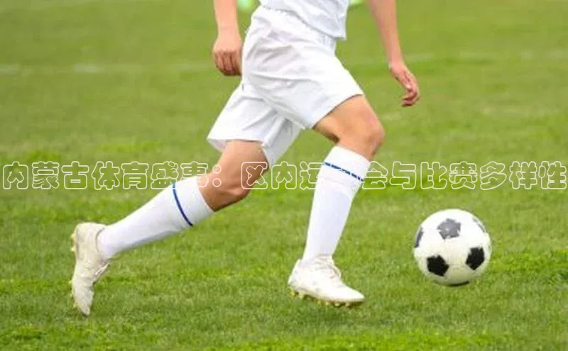 内蒙古体育盛事：区内运动会与比赛多样性